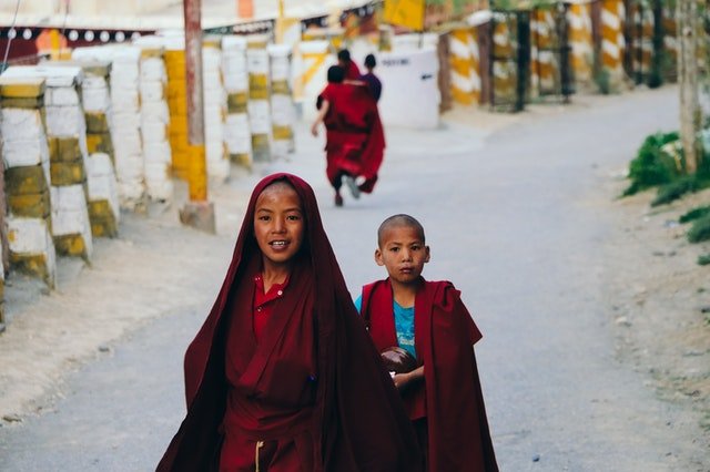 pexels-sakshi-patwa-5324308