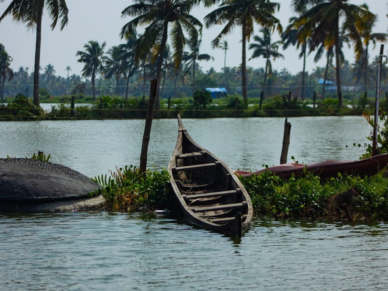 river, bank, boats-5953661.jpg